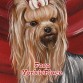 Dedicado exclusivamente a los yorkshire terriers